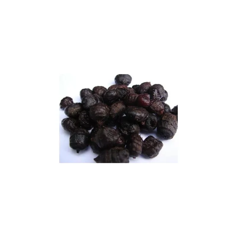 Spanyol Large Black Tigernuts nagyszemű fekete tigrismogyoró 5 kg Rendeld meg most