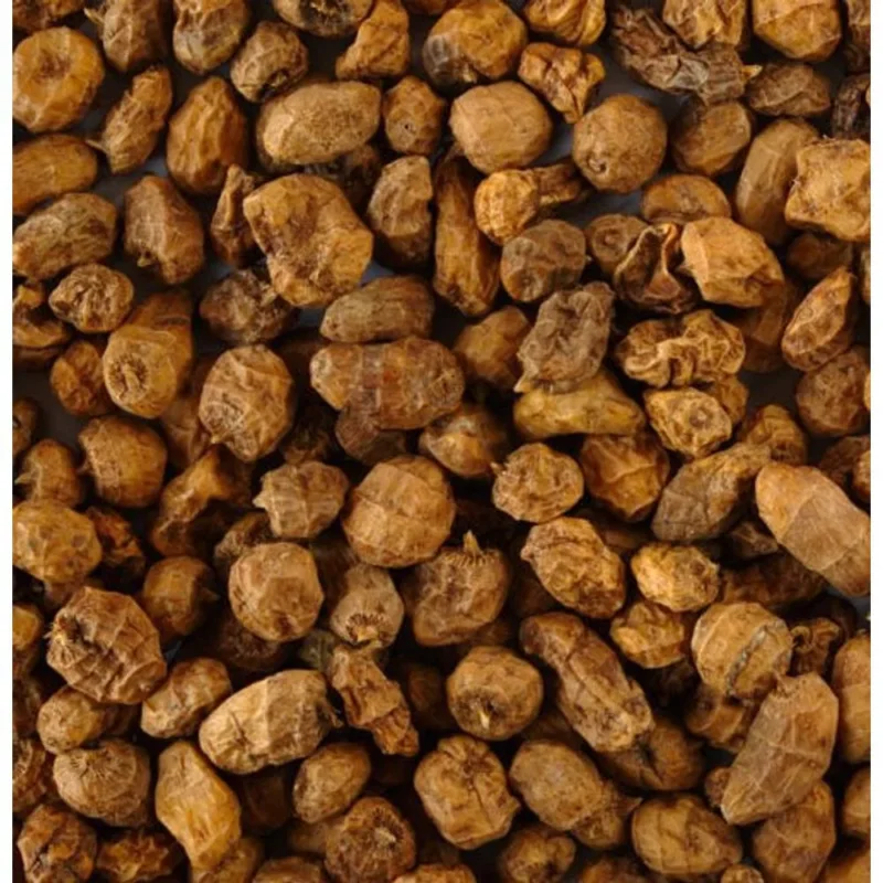 Legkelendőbb Spanyol Large Tigernuts nagyszemű tigrismogyoró 10 kg