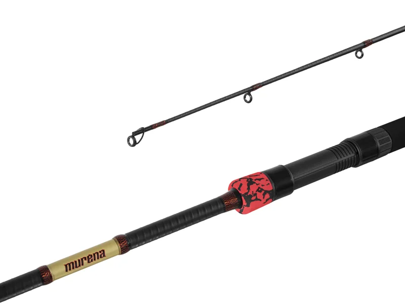 Ajánlat DELPHIN MURENA POWER 270CM/125G/2 RÉSZ