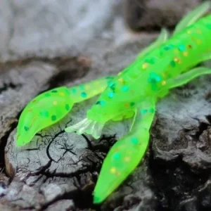 Szezonális akció Rapture ULC Alive Craw 5cm 1,8gr Chartreuse Lágygumi Csali 12db