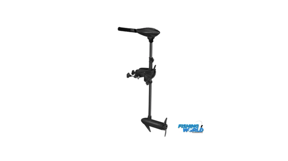 Haswing Osapian 55Lbs csónakmotor 12V Alacsony ár