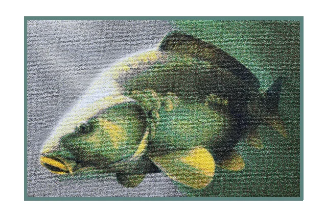 Delphin – Szőnyeg 3D ponty Ajánlat