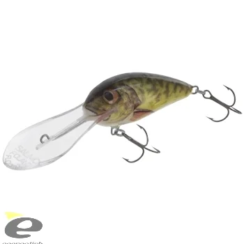 Végkiárusítás SALMO WOBBLER BUTCHER BR5F GS