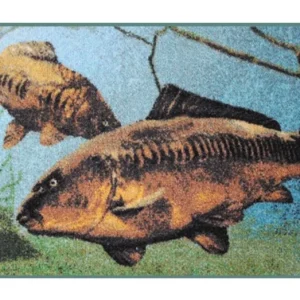 DELPHIN PONTYOS 3D LÁBTÖRLŐ EXTRA 60X40CM Olcsóbb
