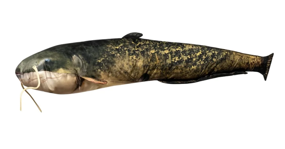 Népszerű HALAS PÁRNA HARCSA 50CM