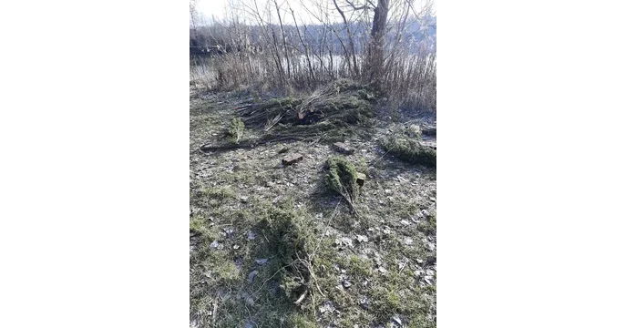 Nézd meg most Süllőfészek